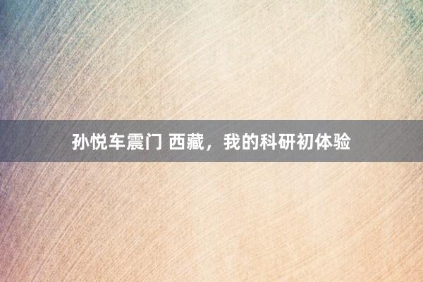 孙悦车震门 西藏，我的科研初体验