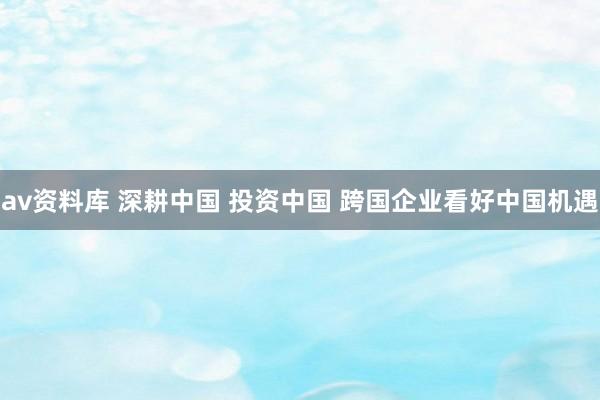 av资料库 深耕中国 投资中国 跨国企业看好中国机遇