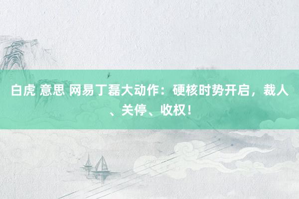 白虎 意思 网易丁磊大动作：硬核时势开启，裁人、关停、收权！