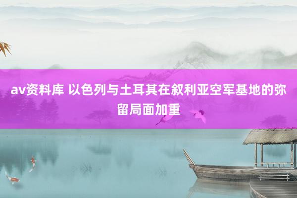 av资料库 以色列与土耳其在叙利亚空军基地的弥留局面加重
