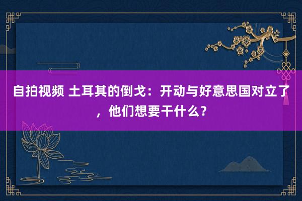 自拍视频 土耳其的倒戈：开动与好意思国对立了，他们想要干什么？