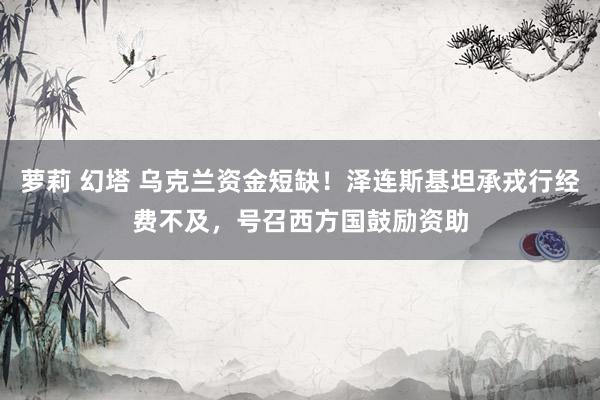 萝莉 幻塔 乌克兰资金短缺！泽连斯基坦承戎行经费不及，号召西方国鼓励资助