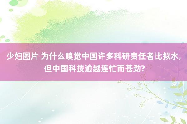少妇图片 为什么嗅觉中国许多科研责任者比拟水, 但中国科技逾越连忙而苍劲?
