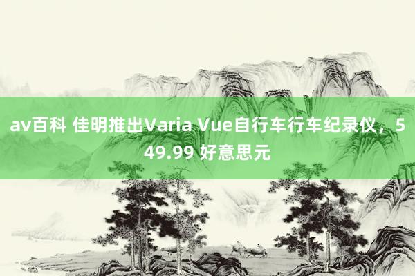 av百科 佳明推出Varia Vue自行车行车纪录仪，549.99 好意思元